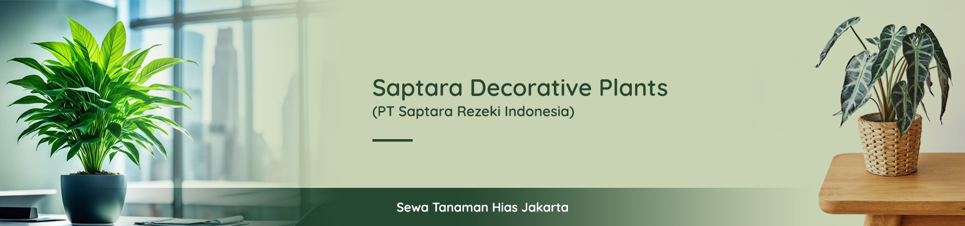 Saptara Decorative Plants subheader